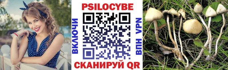 Псилоцибиновые грибы Cubensis Купить где Суровикино