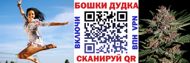 Купить закладки  Суровикино  Бошки Шишки SATIVA & INDICA 